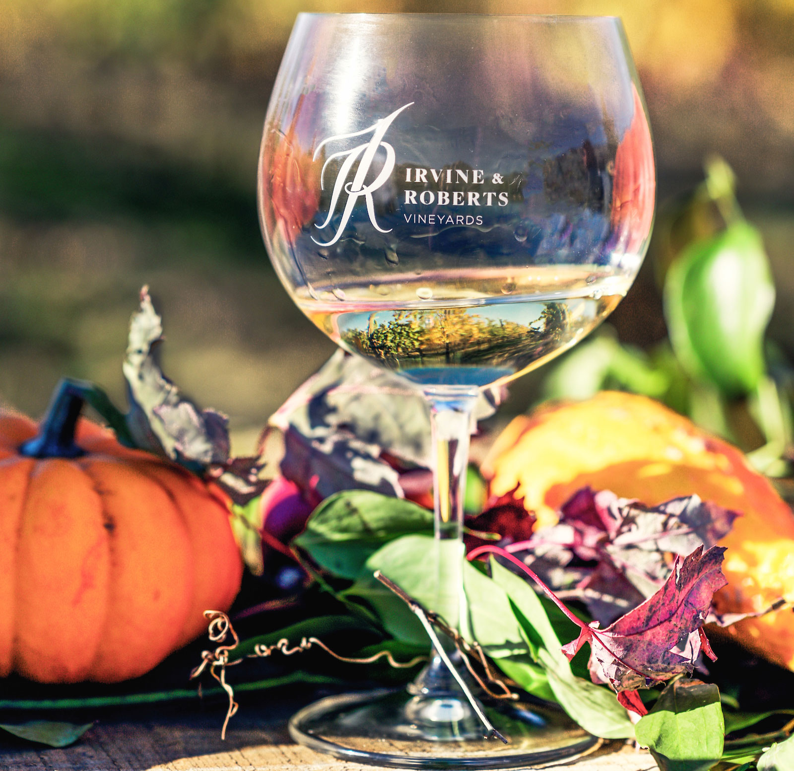 39 Glass of Irvine & Roberts white wine