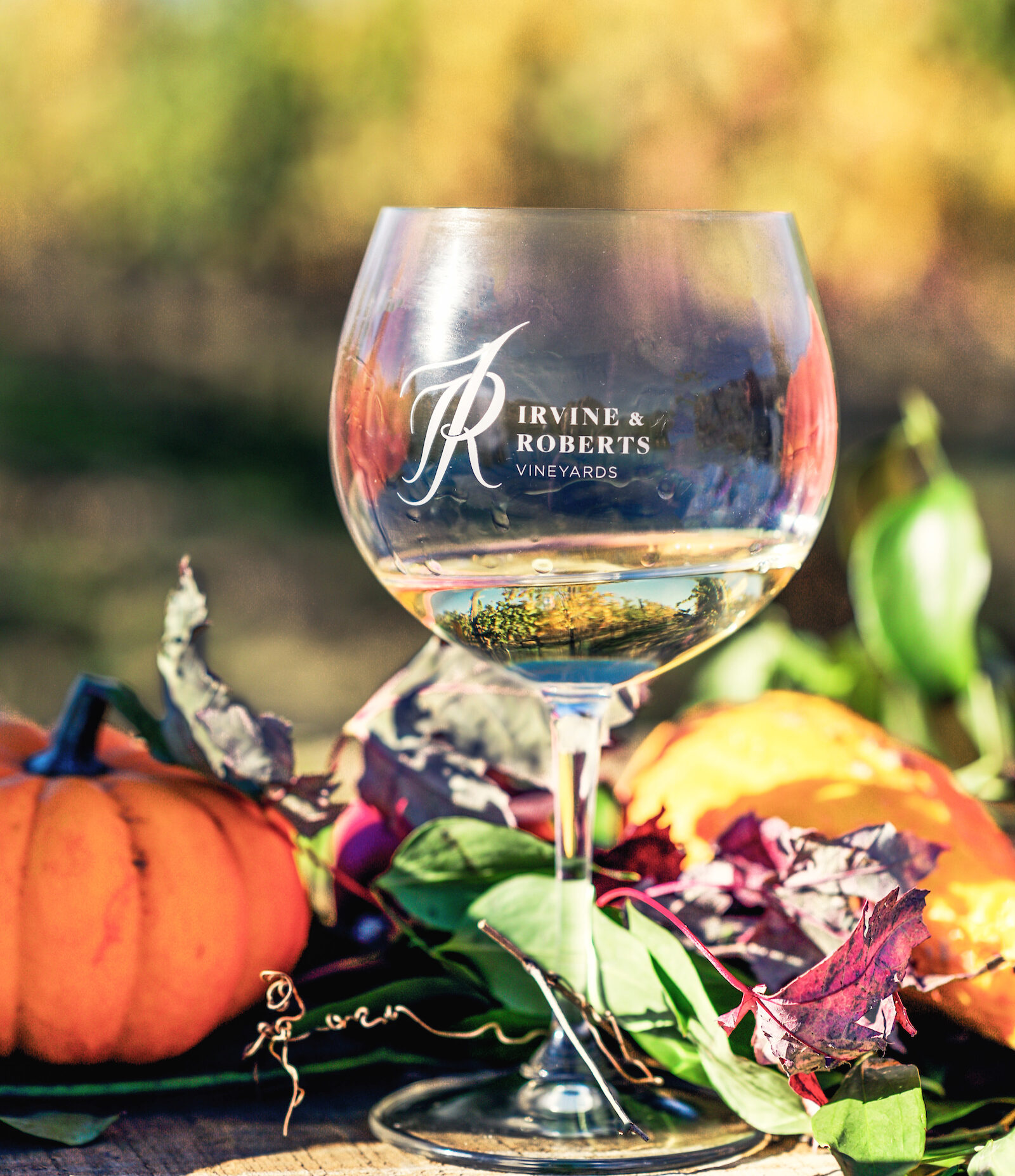 39 Fall Wine Club Celebration